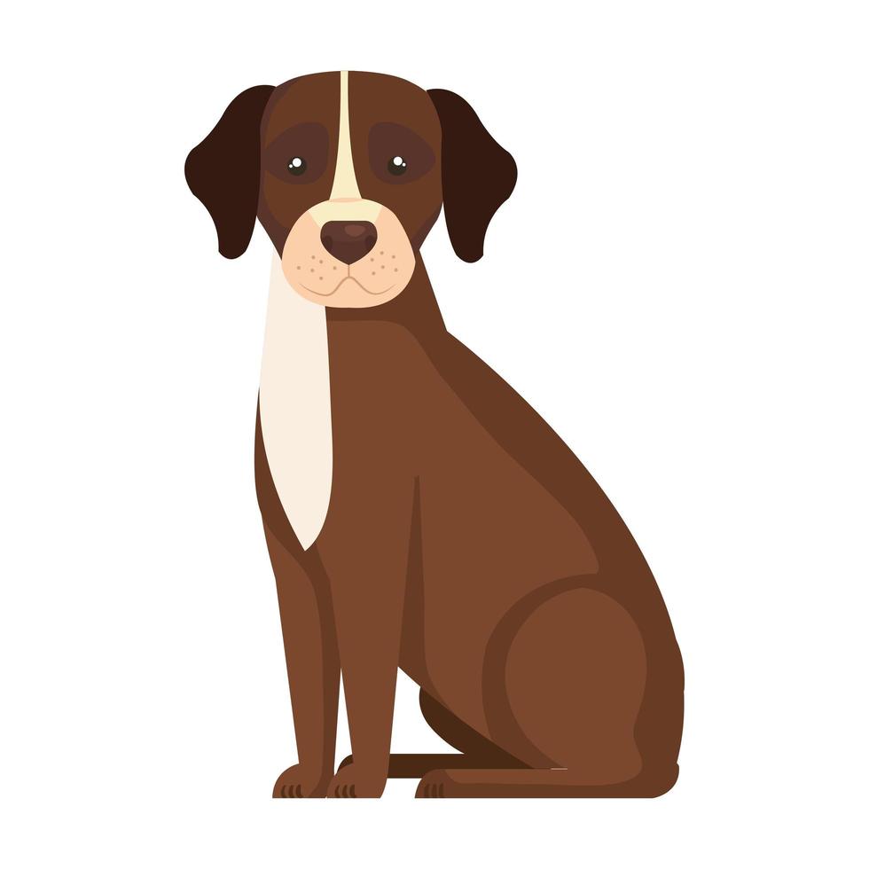 brun hund med vit fläck isolerad ikon vektor