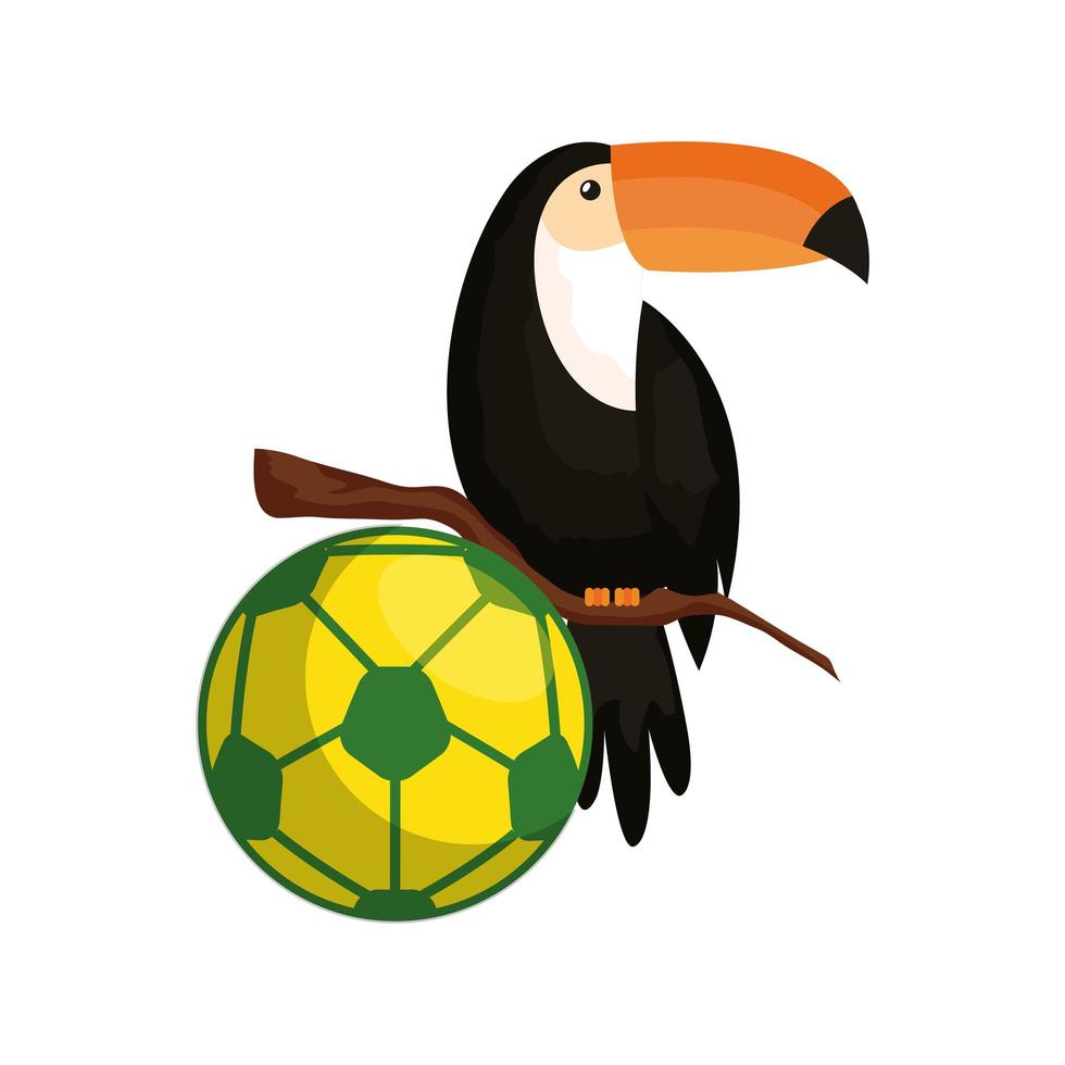 Sportball Fußball mit Tukan isolierte Symbol vektor