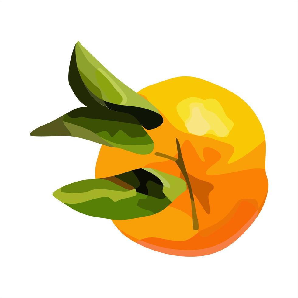 Vektor-Orange. für Design Restaurant Menü Desserts Einladungskarten vektor