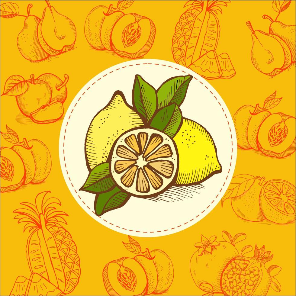 citron lime. frukt. vektor illustration. frukten är handritad. handritad vektorillustration.