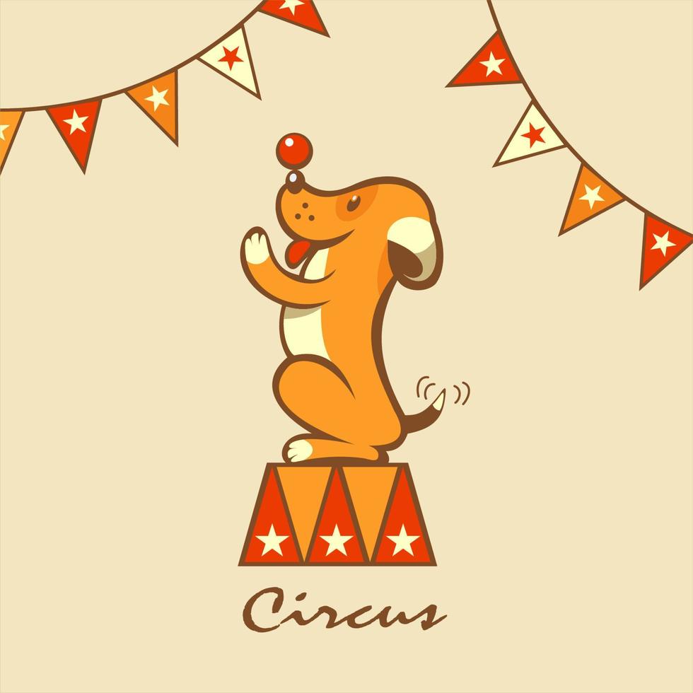 Zirkus Hund. die Zirkustiere. der Hund führt Tricks aus. Vektor-Illustration. vektor