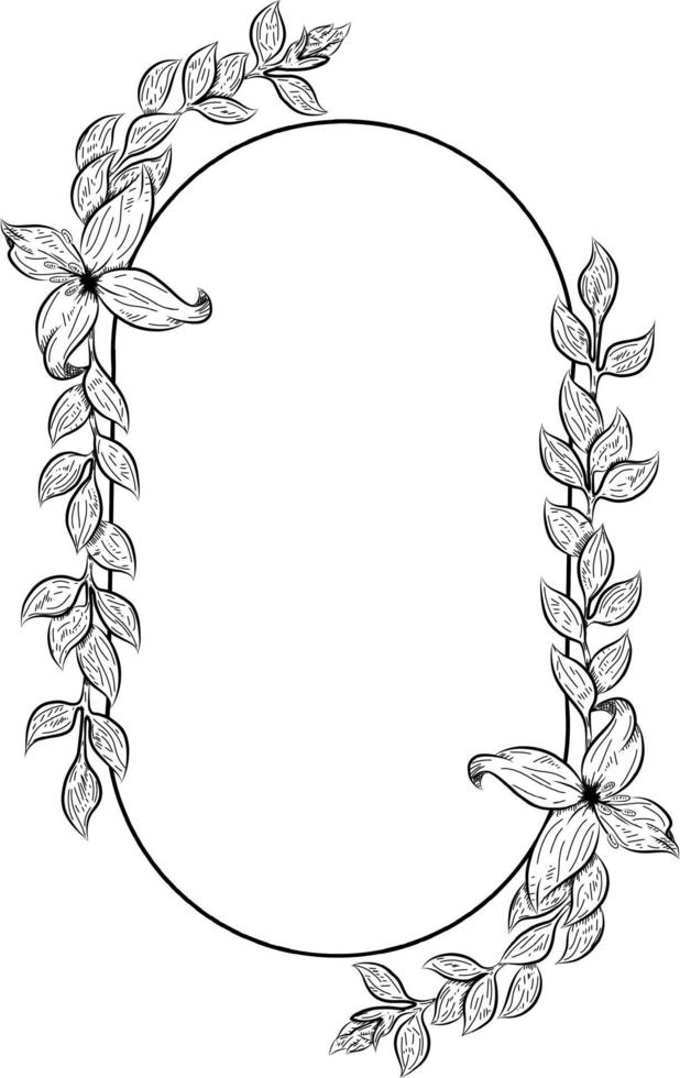 Gekritzelvektorillustrationspflanzen für Hochzeitsdesign vektor