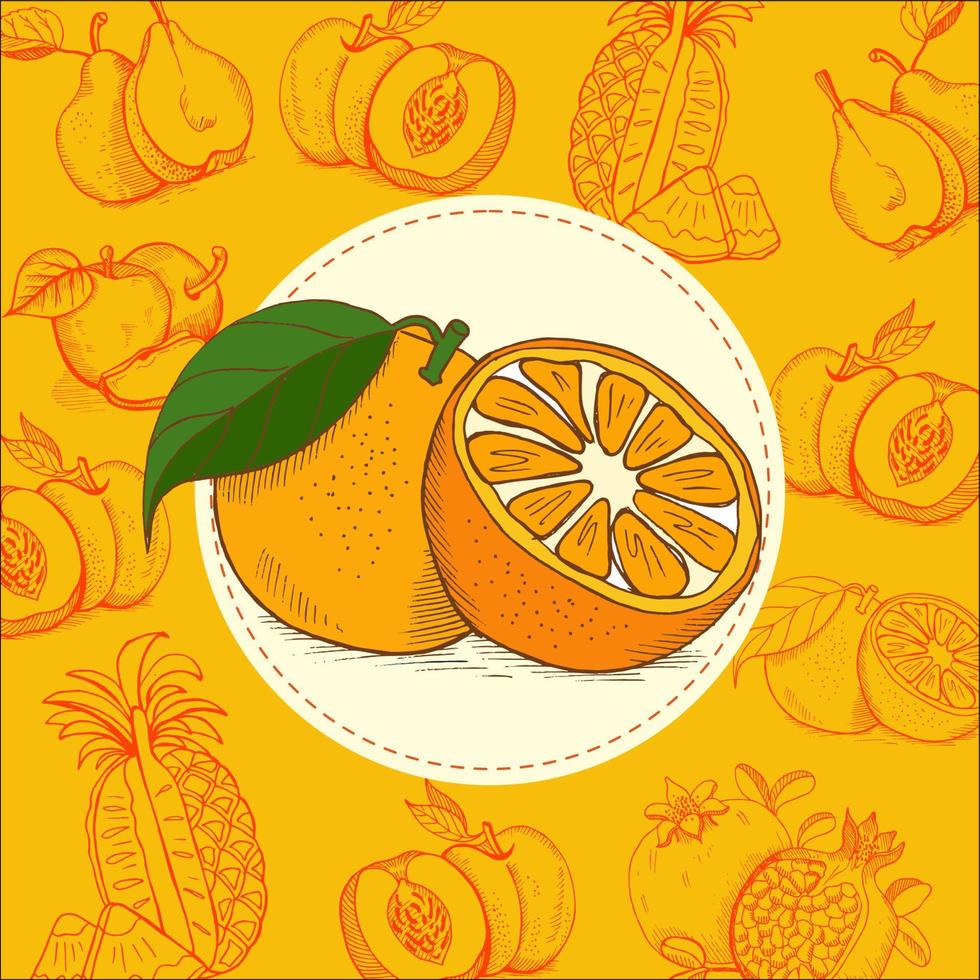 Orange. Frucht. Vektor-Illustration. Die Frucht ist handgezeichnet. handgezeichnete Vektor-Illustration. vektor