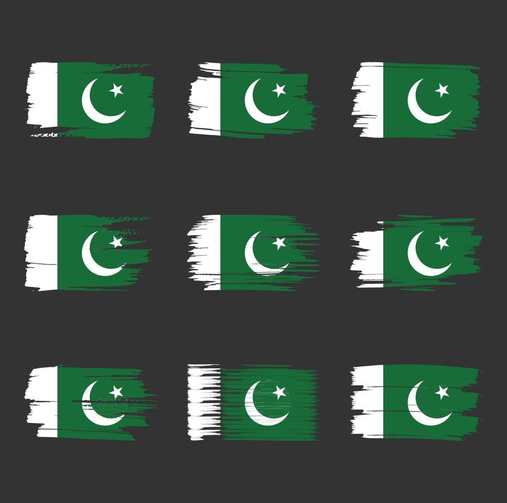 Pakistanische Flagge Pinselstriche gemalt vektor