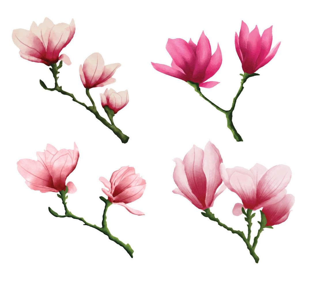 samling av röda akvarell magnolia blommor vektor
