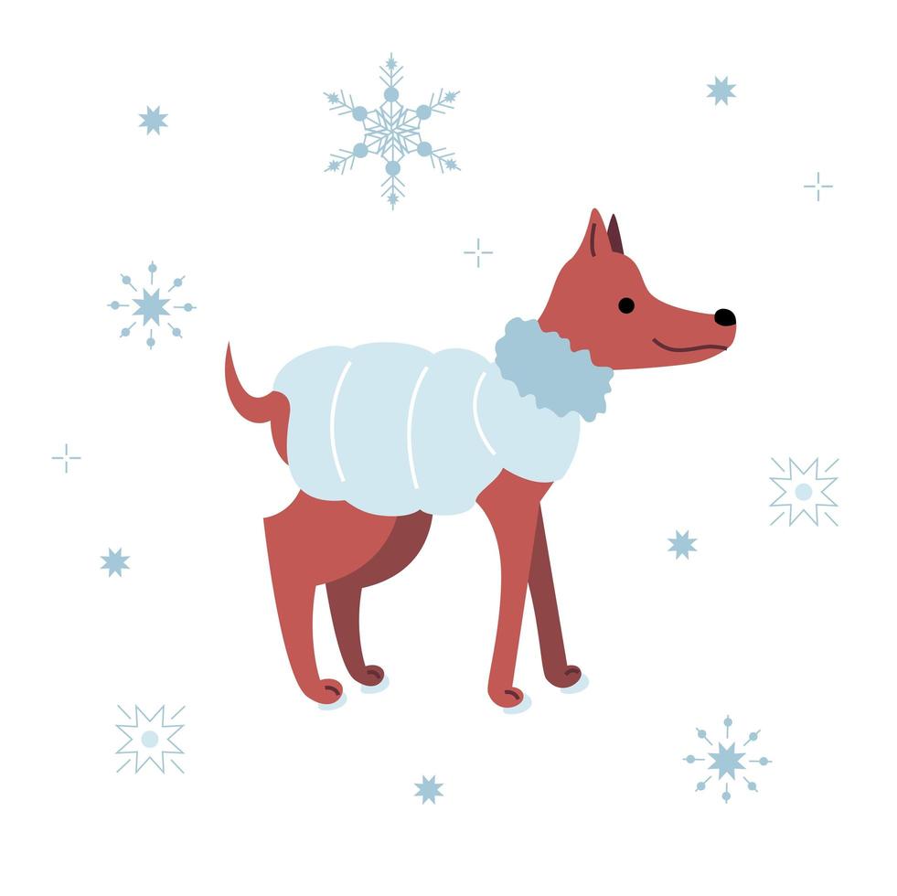 roter Hund in einer trendigen blauen Winter-Daunenjacke. Der Welpe im Profil steht oder geht mit Schneeflocken. Das Haustier lächelt und ist süß. Es kann für Aufkleber, Aufnäher, Handyhüllen, Poster, T-Shirts verwendet werden vektor