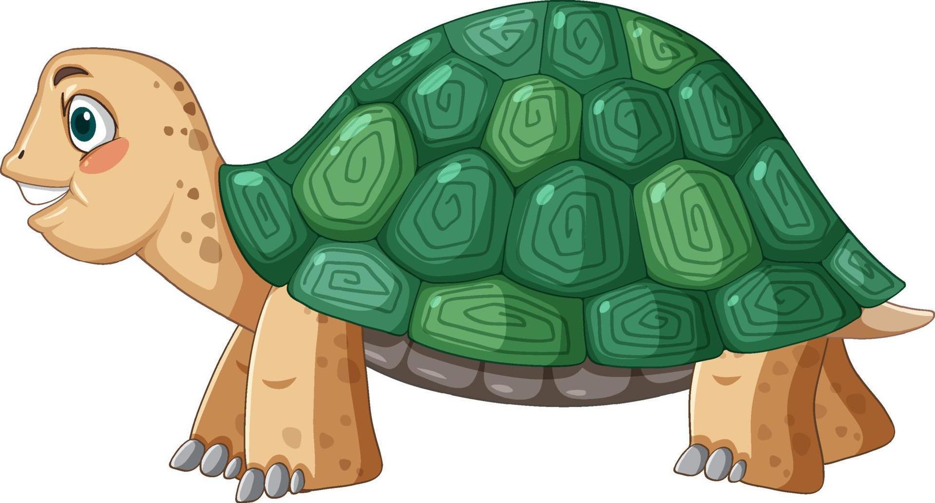 Seitenansicht der Schildkröte mit grünem Panzer im Cartoon-Stil vektor