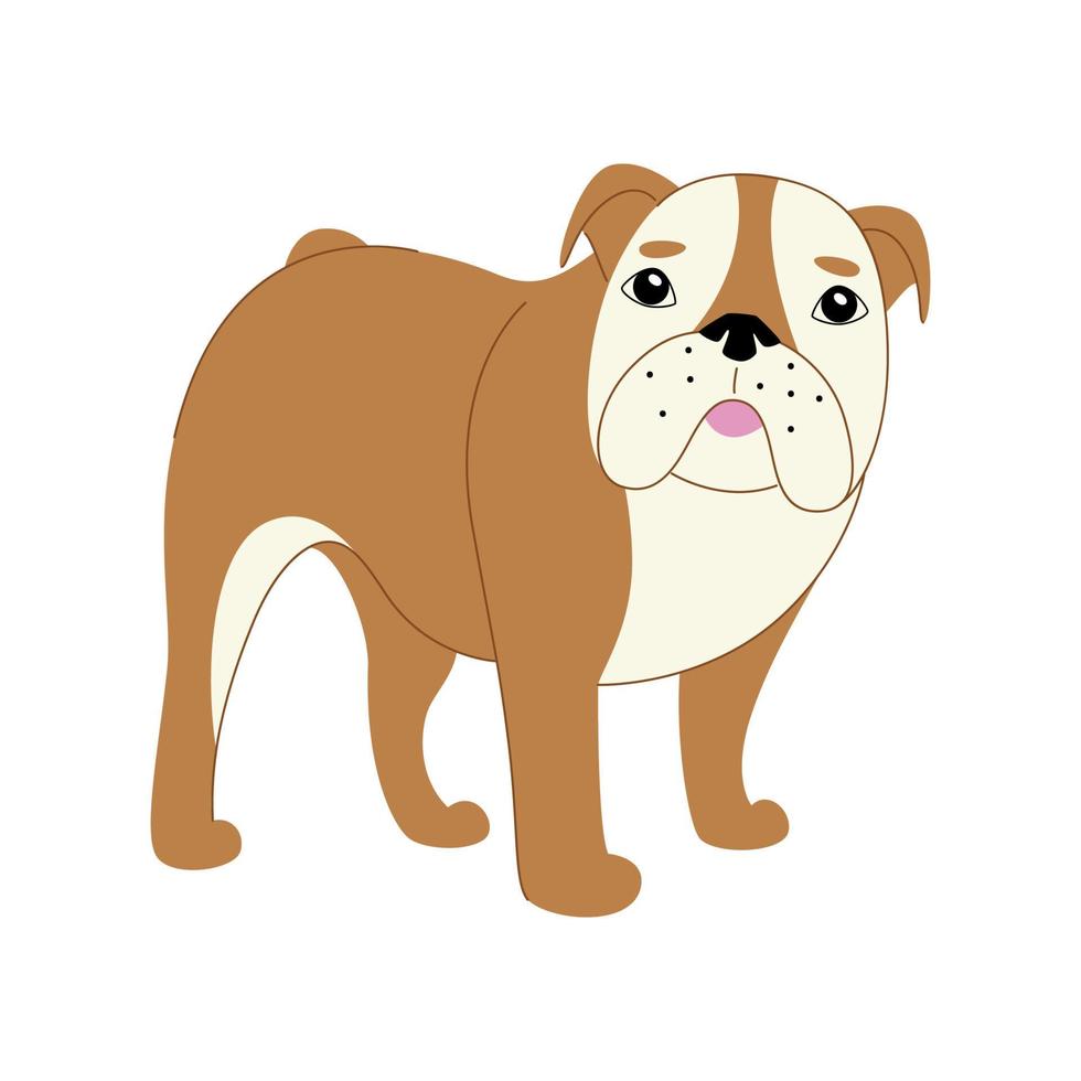 englische Bulldogge auf weißem Hintergrund. moderne Vektor-Hundeillustration vektor