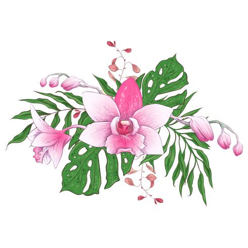 Exotiska tropiska blommiga buketter paphiopedilum orkidé blommor vektor design set.