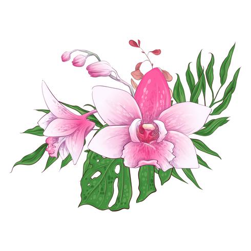 Exotische tropische Blumensträuße Paphiopedilum-Orchidee blüht Vektordesignsatz. vektor