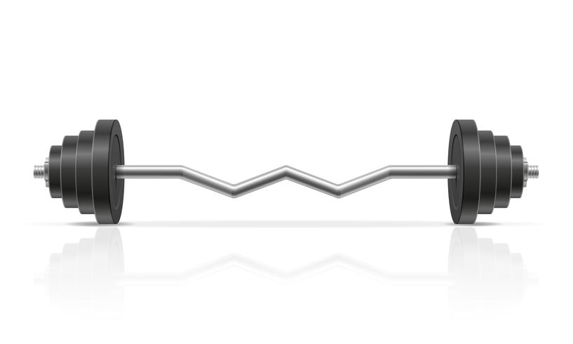 metall barbell för muskelbyggnad i gym vektor illustration