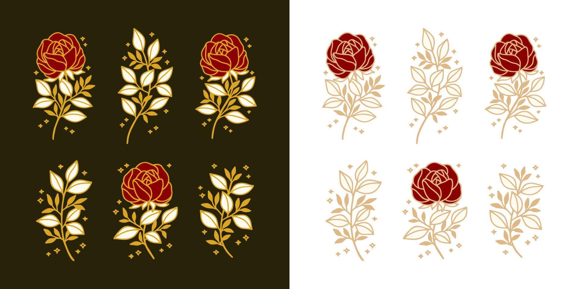 uppsättning handritade vintagepioner, rosblommor och blommiga lövgren linjekonst feminina logotypelement vektor