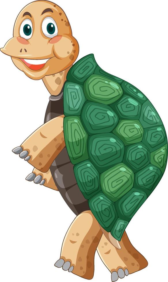 Schildkröte mit grüner Muschel-Cartoon-Figur vektor