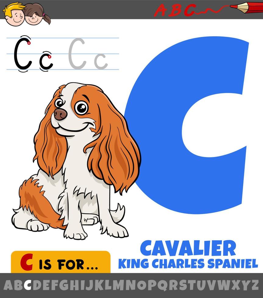 Buchstabe c aus dem Alphabet mit Cartoon-Kavalier-Hund-Tier-Charakter vektor