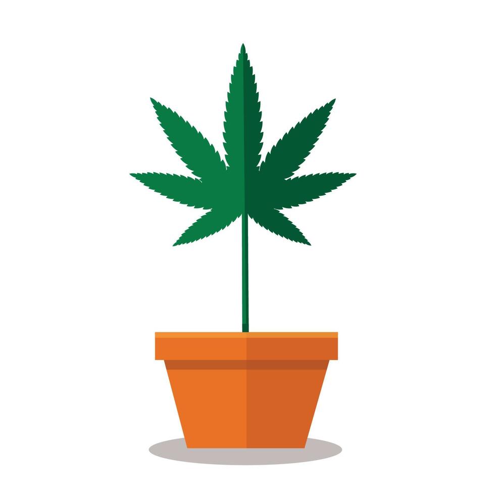 Marihuanablattsymbol, Marihuana- oder Hanfsymbol vektor