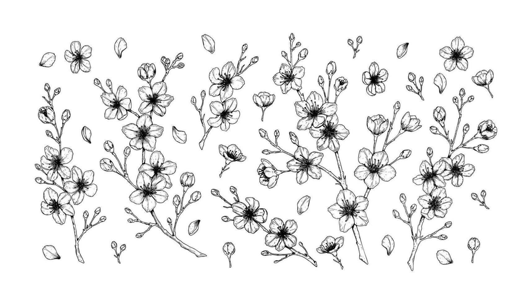 stor uppsättning vårkörsbärsblommor. vektor illustration i skiss stil isolerad på vitt. vackra trädgrenar i blom