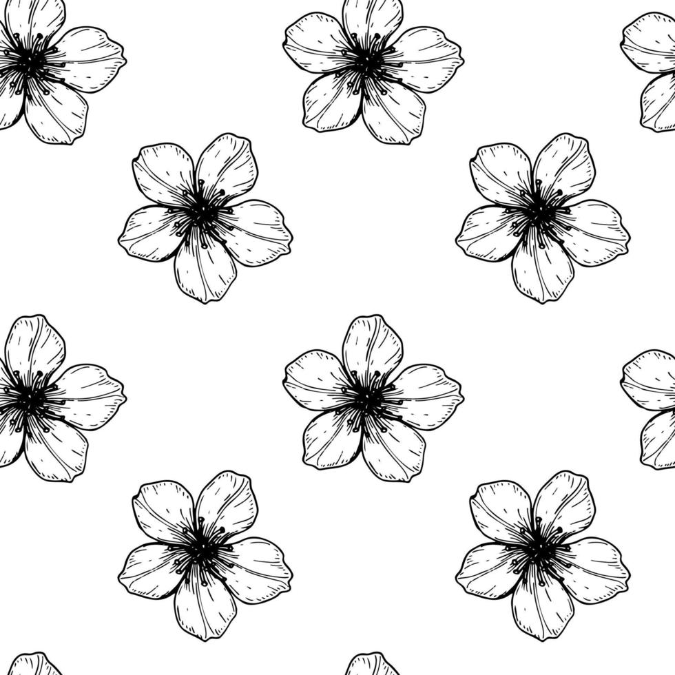 sömlösa blommönster med handritade vårkörsbärsblommor. vektor illustration i skiss stil isolerad på vitt.
