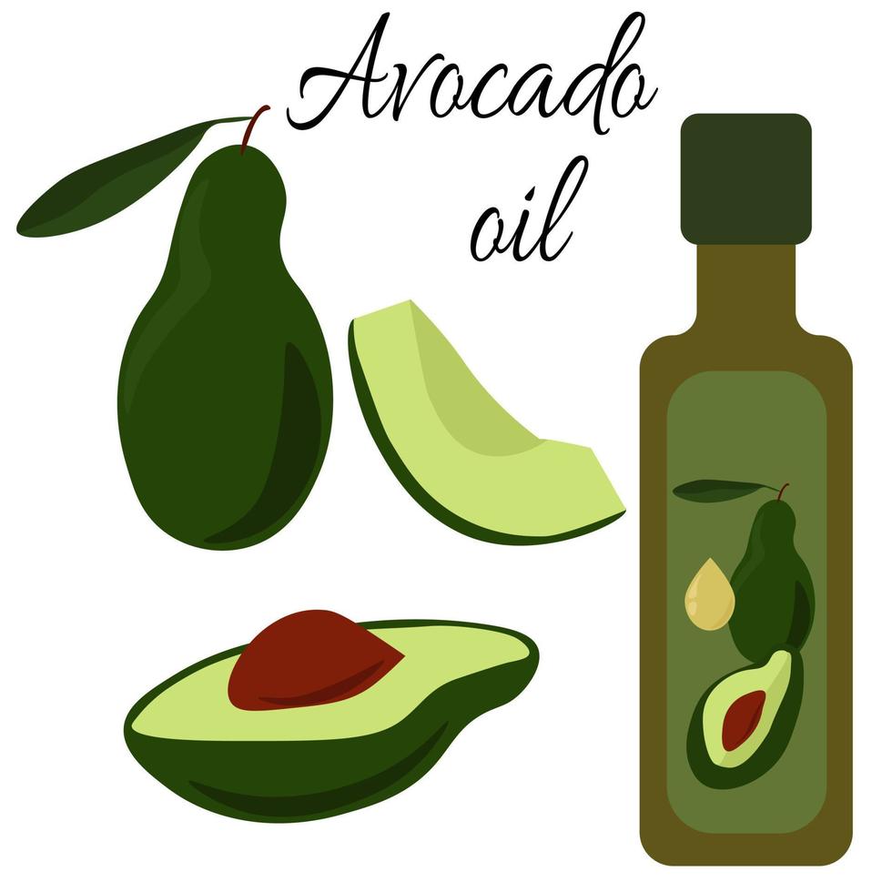 Avocadoöl, Speiseöl in der Flasche, ganze und Avocadostücke in verschiedenen Formen und Größen vektor