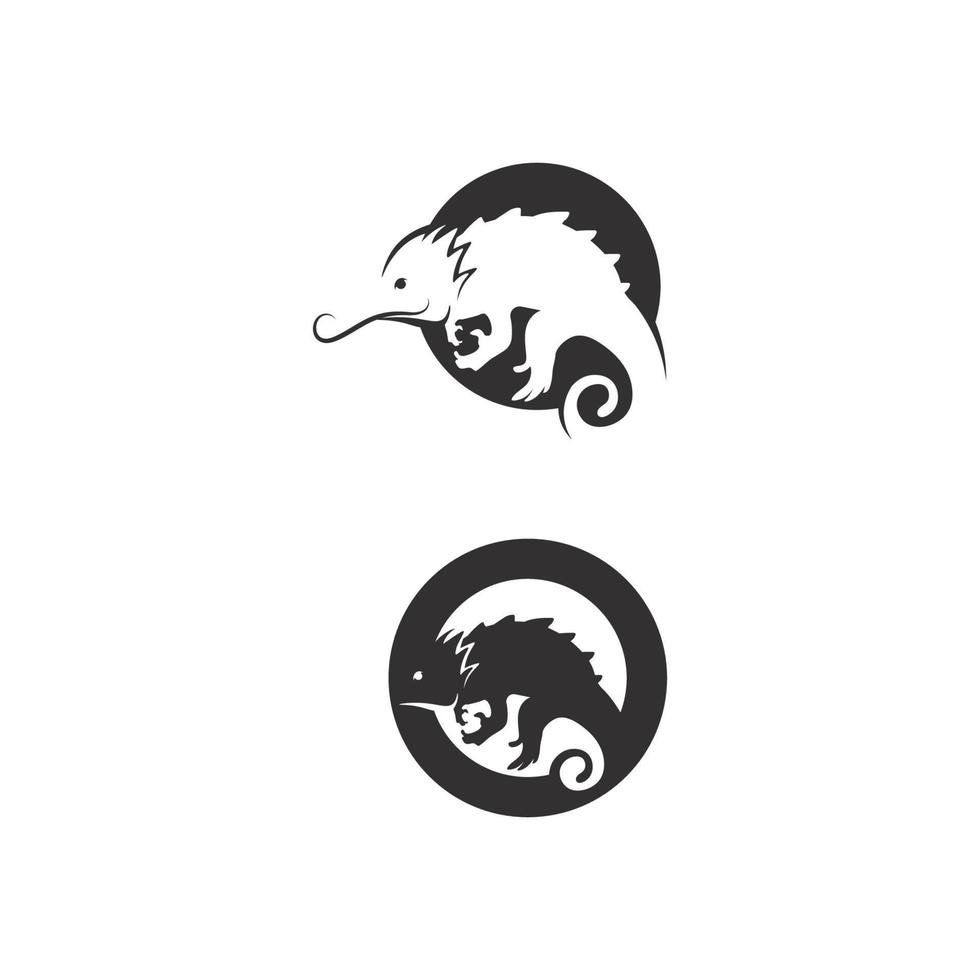 Eidechse und Tiervektor Salamander Gecko Krokodil und Reptilien Design Logo vektor