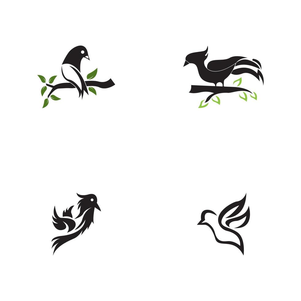 Vogelsymbol und Symbolvektorillustration vektor