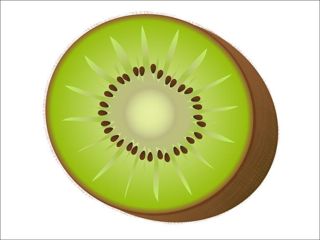 Kiwi vektor