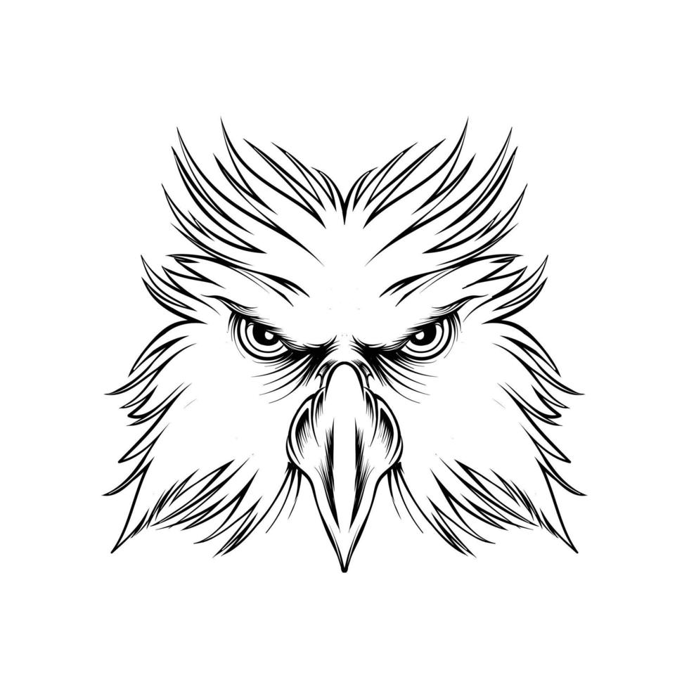 eagle head illustration skiss vektor
