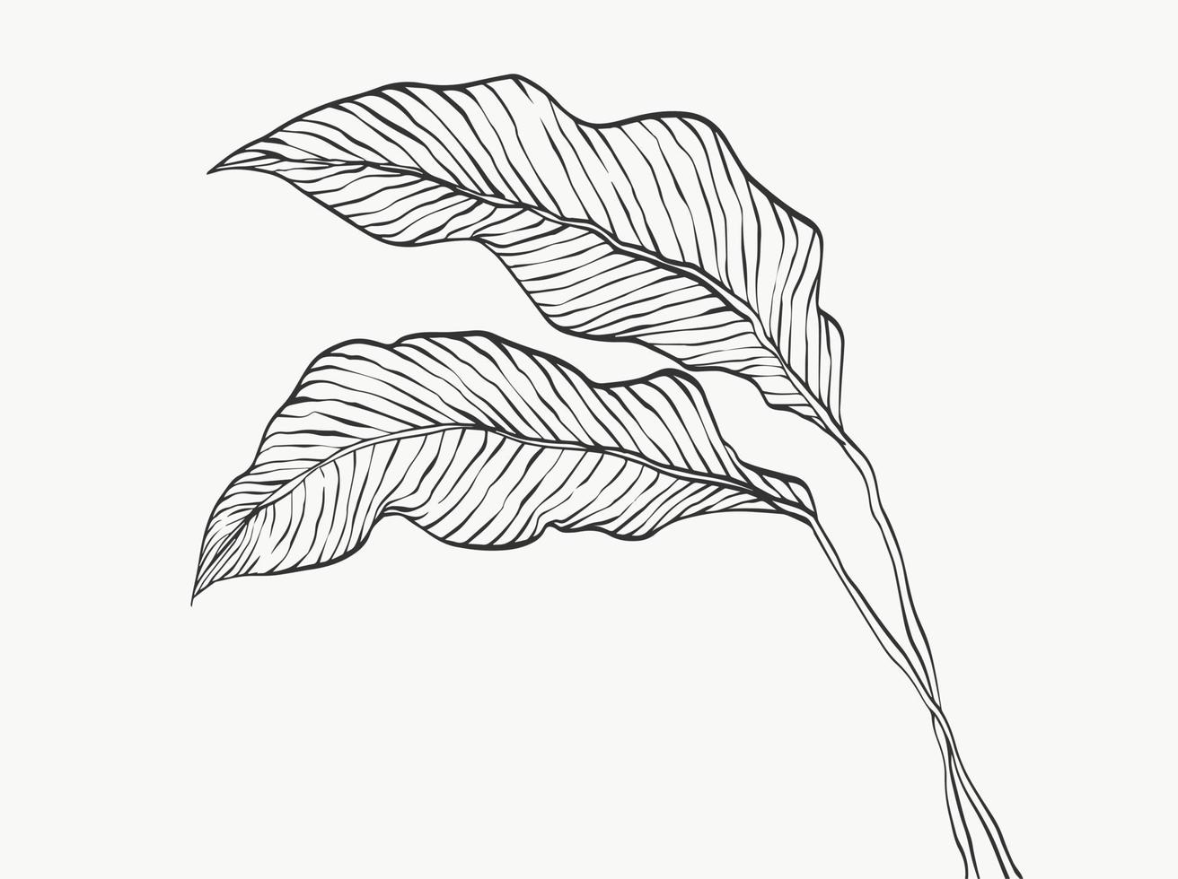 monstera lämnar linjekonst. abstrakt modern eller minimal växtlinje. perfekt för heminredning som affischer. vektor illustrationer design