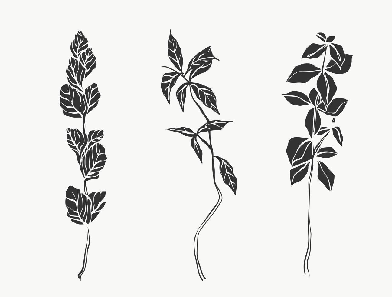 botaniska blad linjekonst. abstrakt modern eller minimal växtlinje. perfekt för heminredning som affischer. vektor illustrationer design