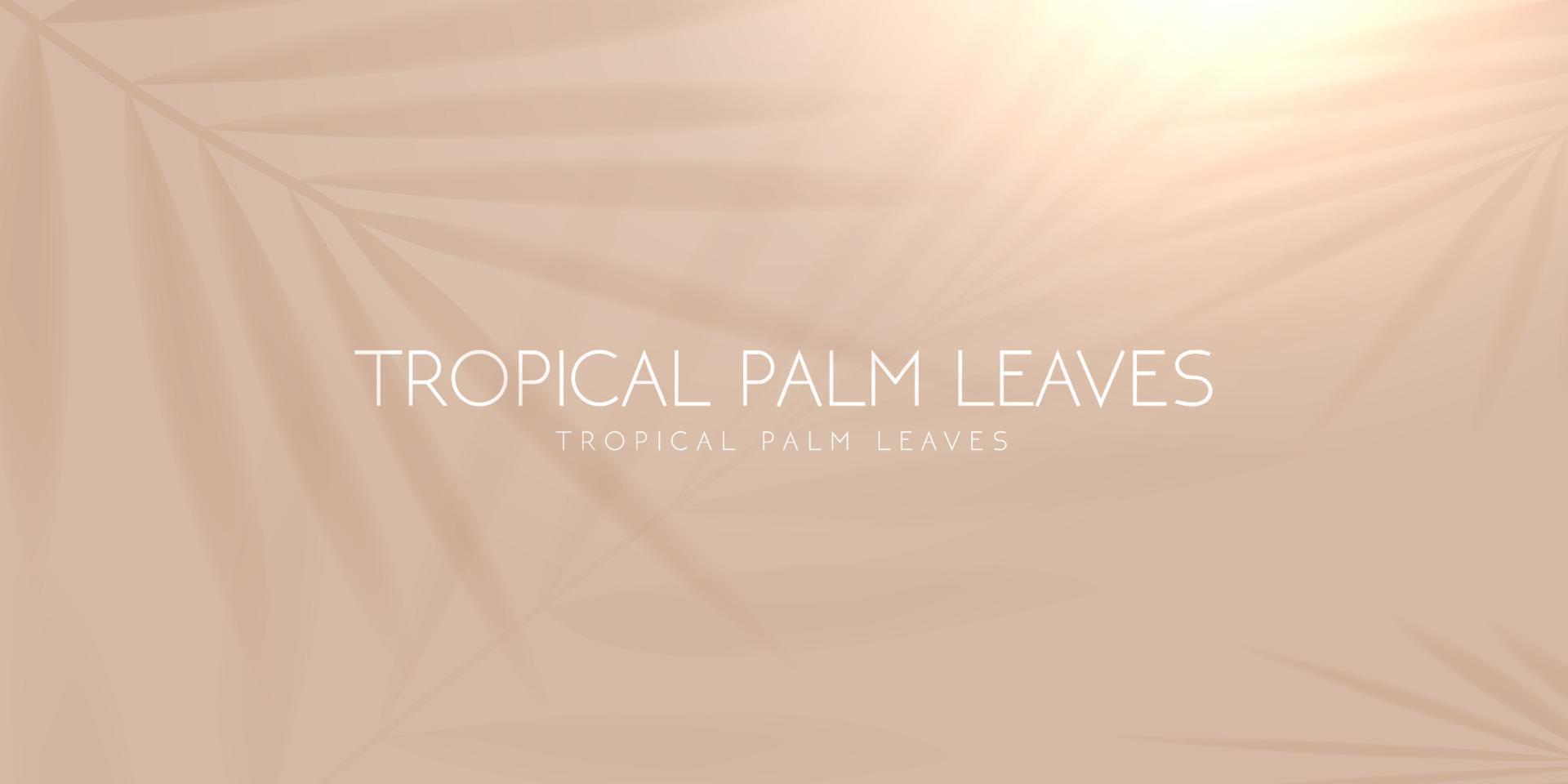 tropischer Palmblattschatten auf hellem Pastellhintergrund. Vektor-Illustration. vektor