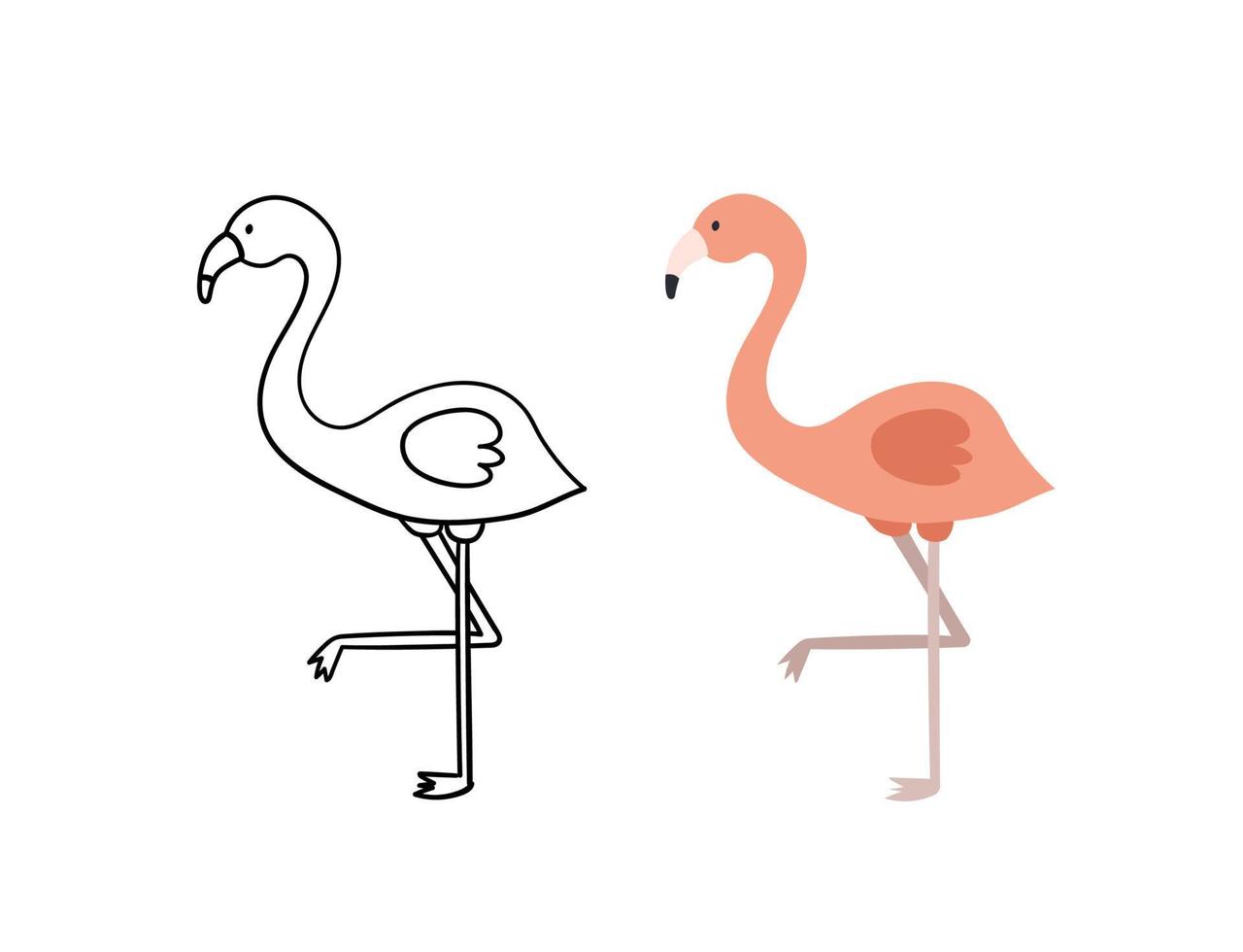 söt handritad flamingo. fågel vektor isolerade illustration. kontur och färgversion.
