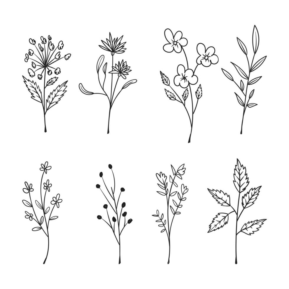 samling av handritade blommiga doodles isolerad på vit bakgrund vektor