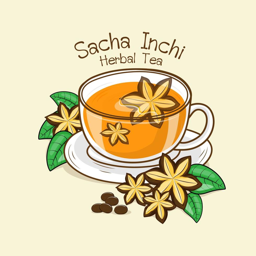 Tasse heißer Sacha Inchi Kräutertee. Vektor-Illustration. vektor