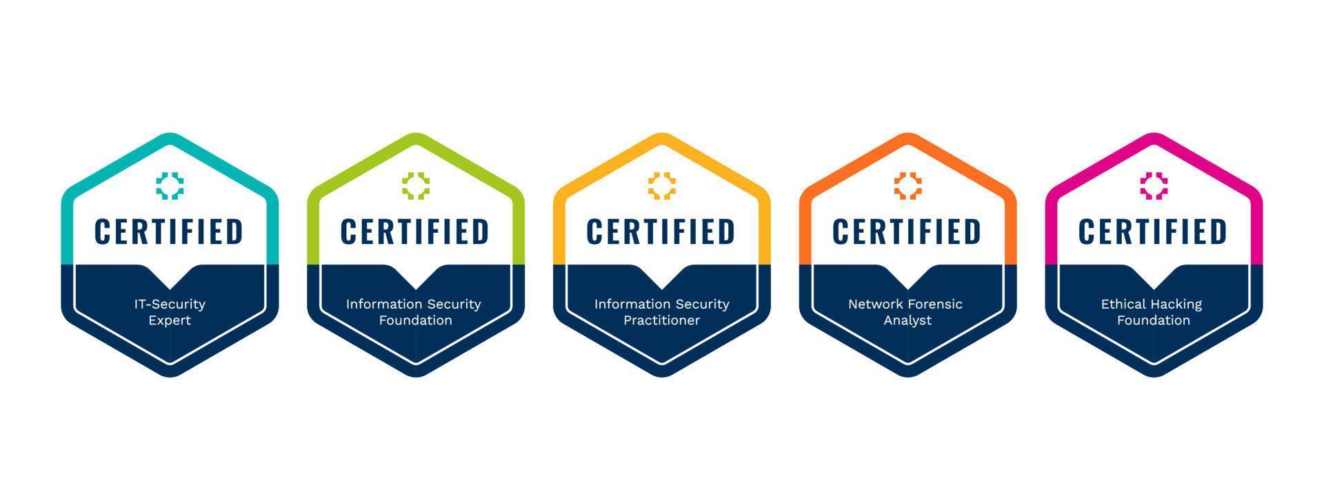 lista över datorsäkerhetscertifieringar vektor designmall. certifikat företag utbildning märke logotyp efter kriterier.