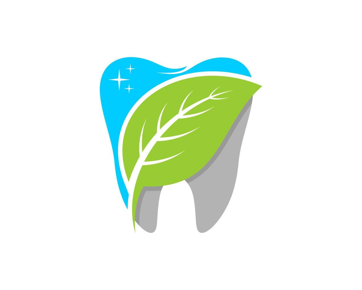 Zähne putzen mit grünem Blatt drin vektor