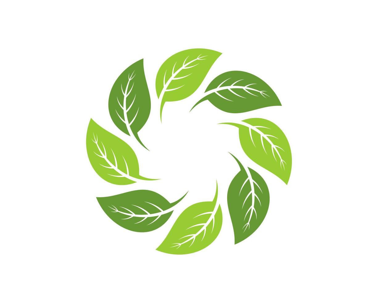 kreisförmiges grünes Naturblatt vektor