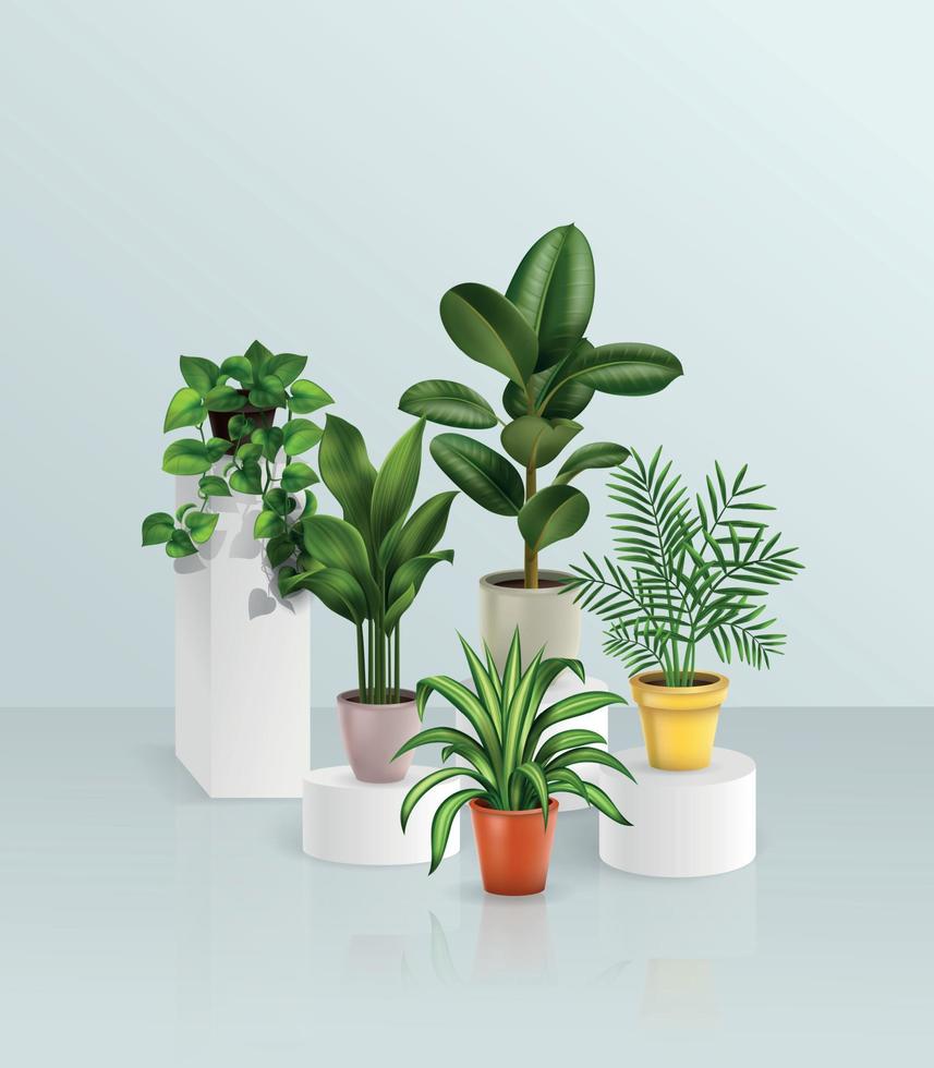 växter realistiska hus vektor