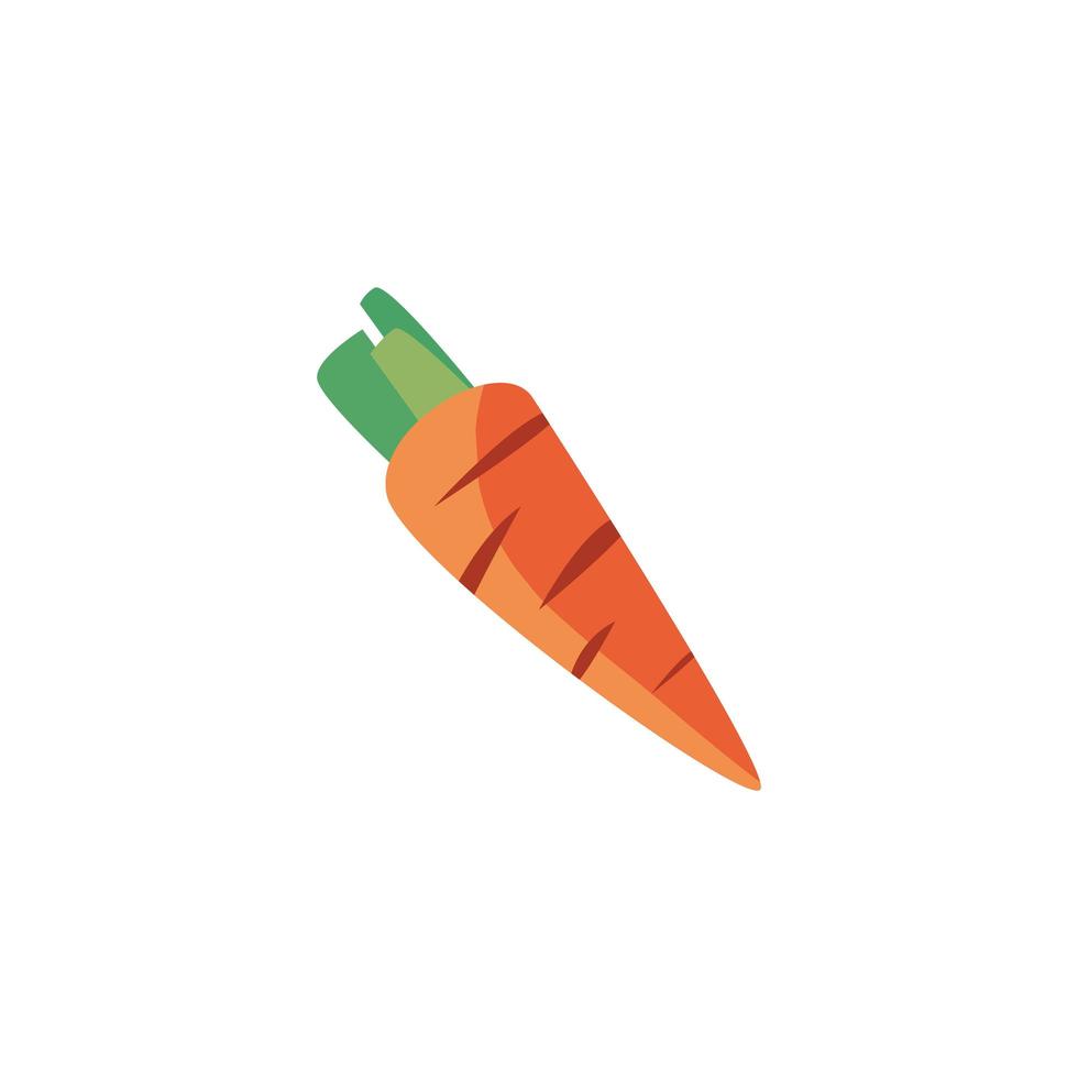 isoliertes Karottengemüse-Vektordesign vektor