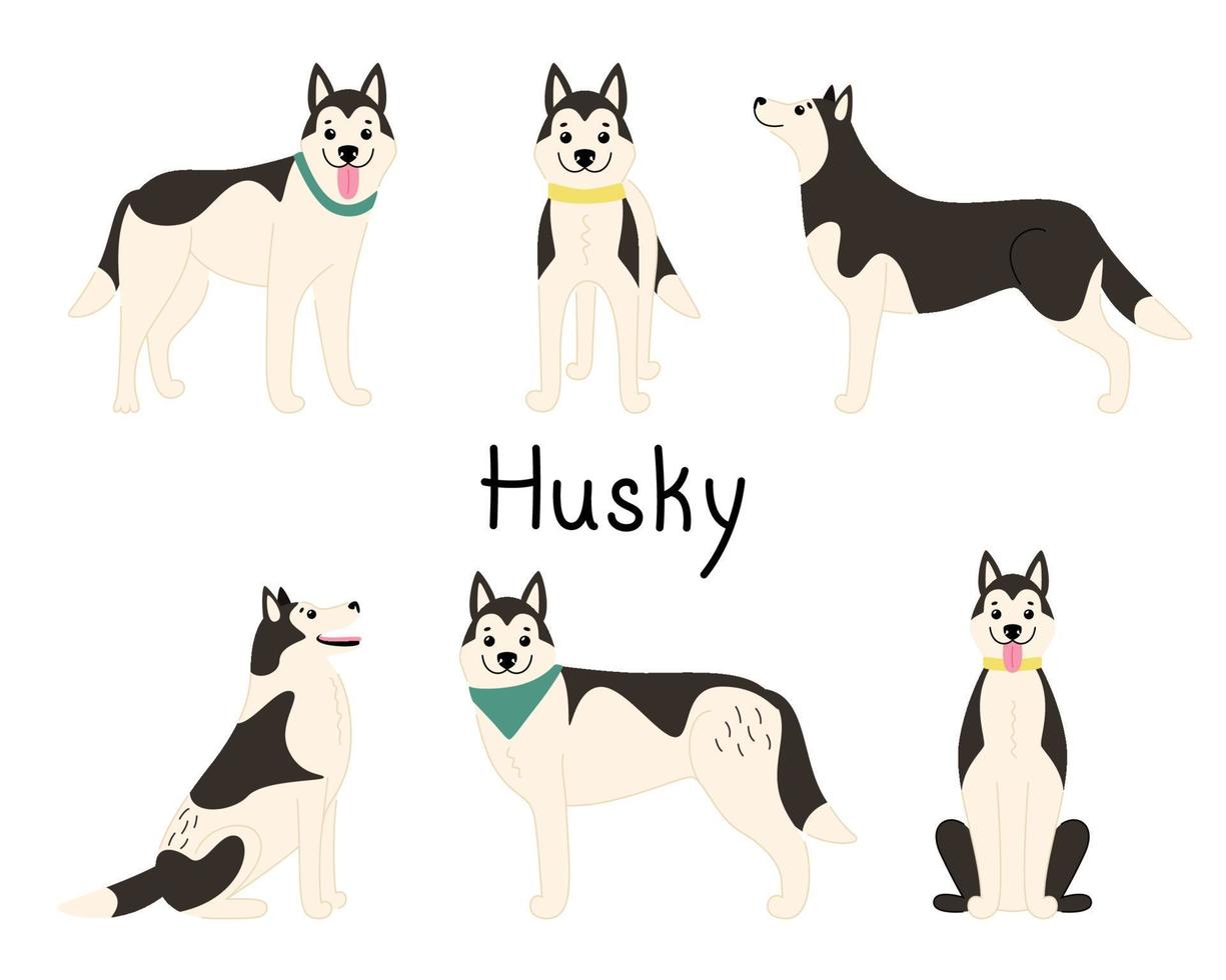 Reihe von verspielten Hunden der Rasse des sibirischen Huskys. flache Vektorgrafik vektor