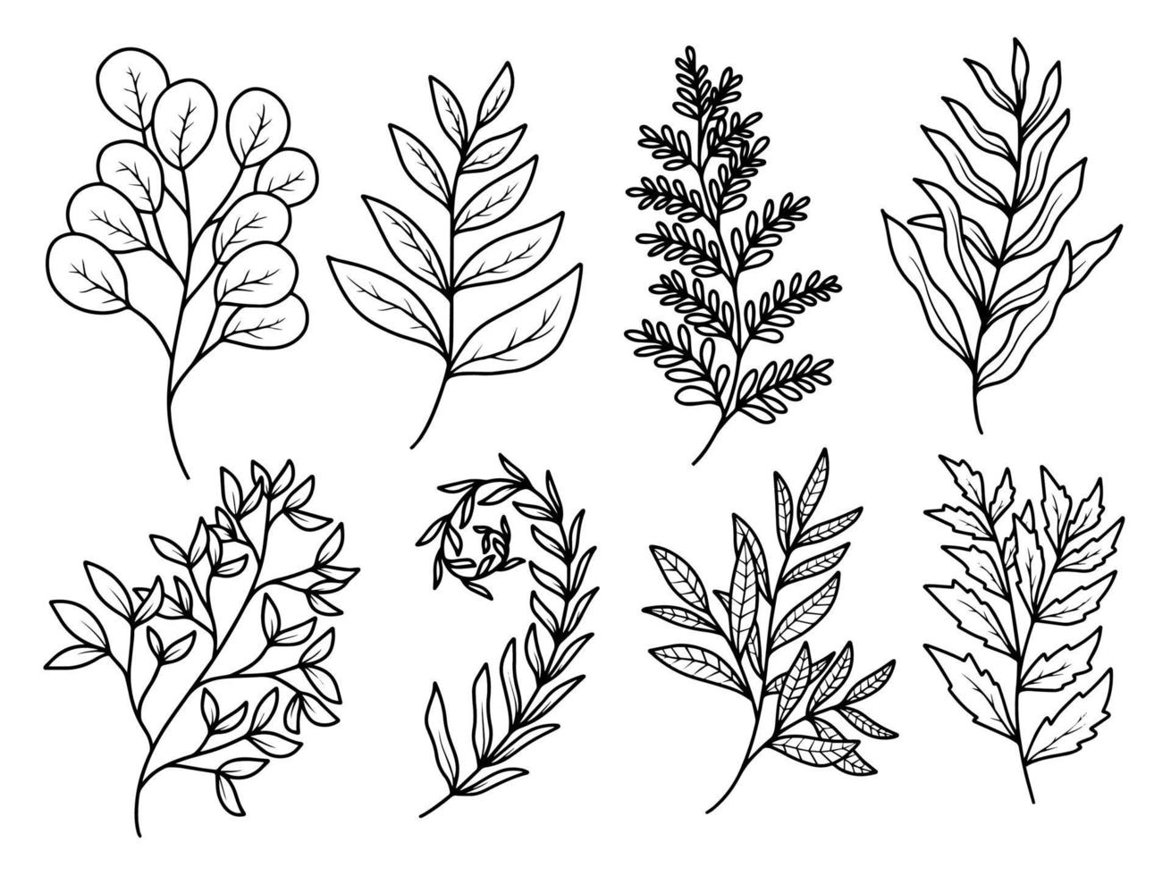 Satz botanisches Blatt mit handgezeichneter Strichzeichnung vektor