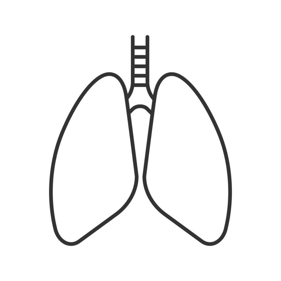 Lineares Symbol der menschlichen Lunge. dünne Linie Abbildung. Anatomie des Atmungssystems. Kontursymbol. Vektor isolierte Umrisszeichnung