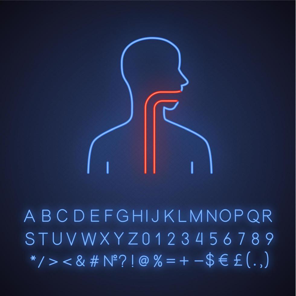 frisk hals neon ljus ikon. munhåla, svalg och matstrupe vid god hälsa. övre delen av matsmältningskanalen. glödande tecken med alfabet, siffror och symboler. vektor isolerade illustration