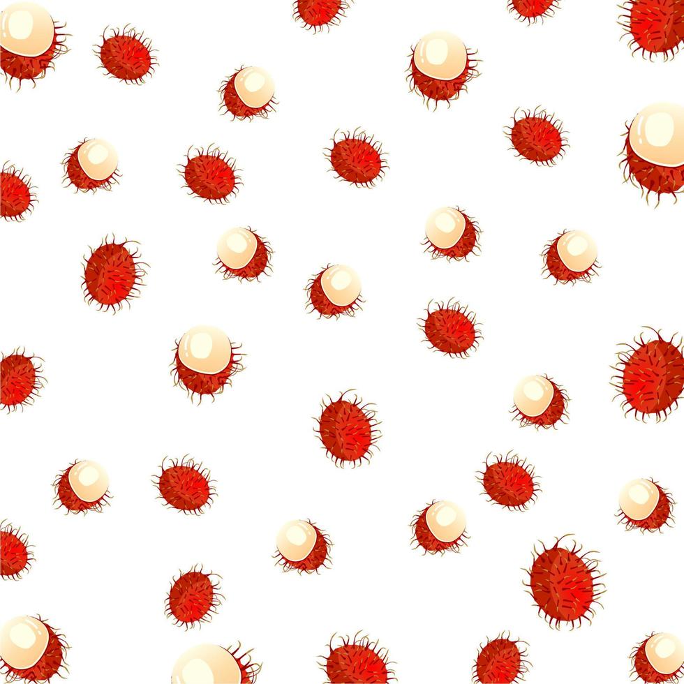 rambutan tropisk frukt mönster. rambutan tropisk frukt bakgrund. element för mat och dryck produkt vektor