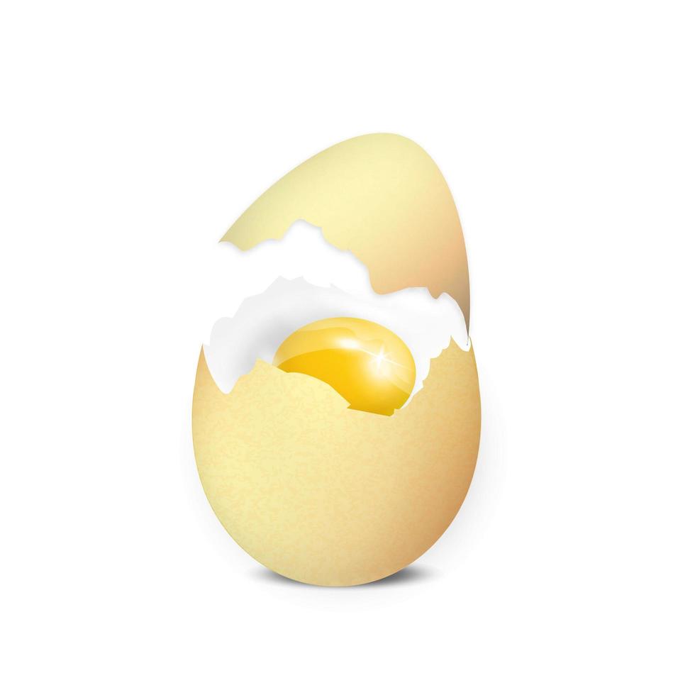 ägg krossade mot en vit bakgrund vektor