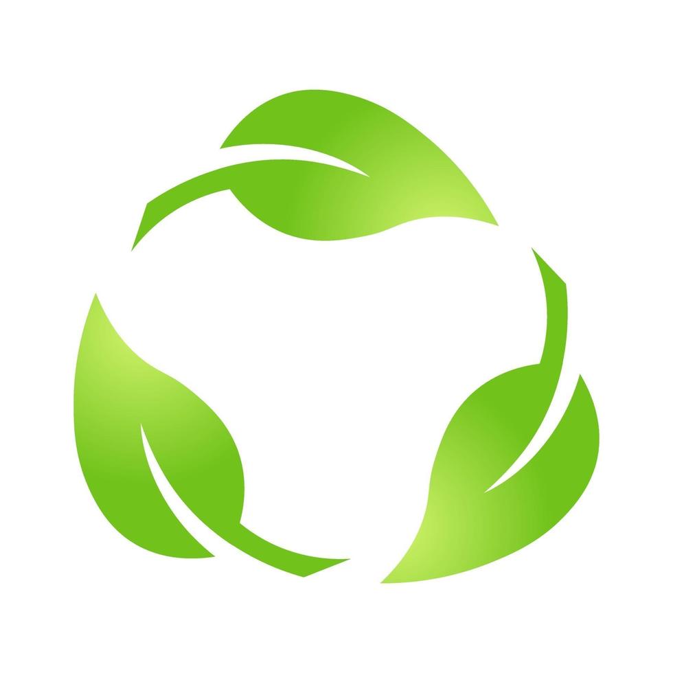 eko grönt blad ikon bio natur grön eko symbol för webb och företag vektor