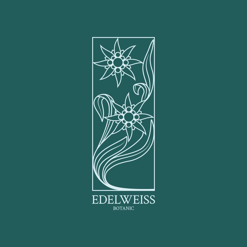 edelweiss logotyp. blomdesign av logotypen med en handritad blomma av edelweiss vektor