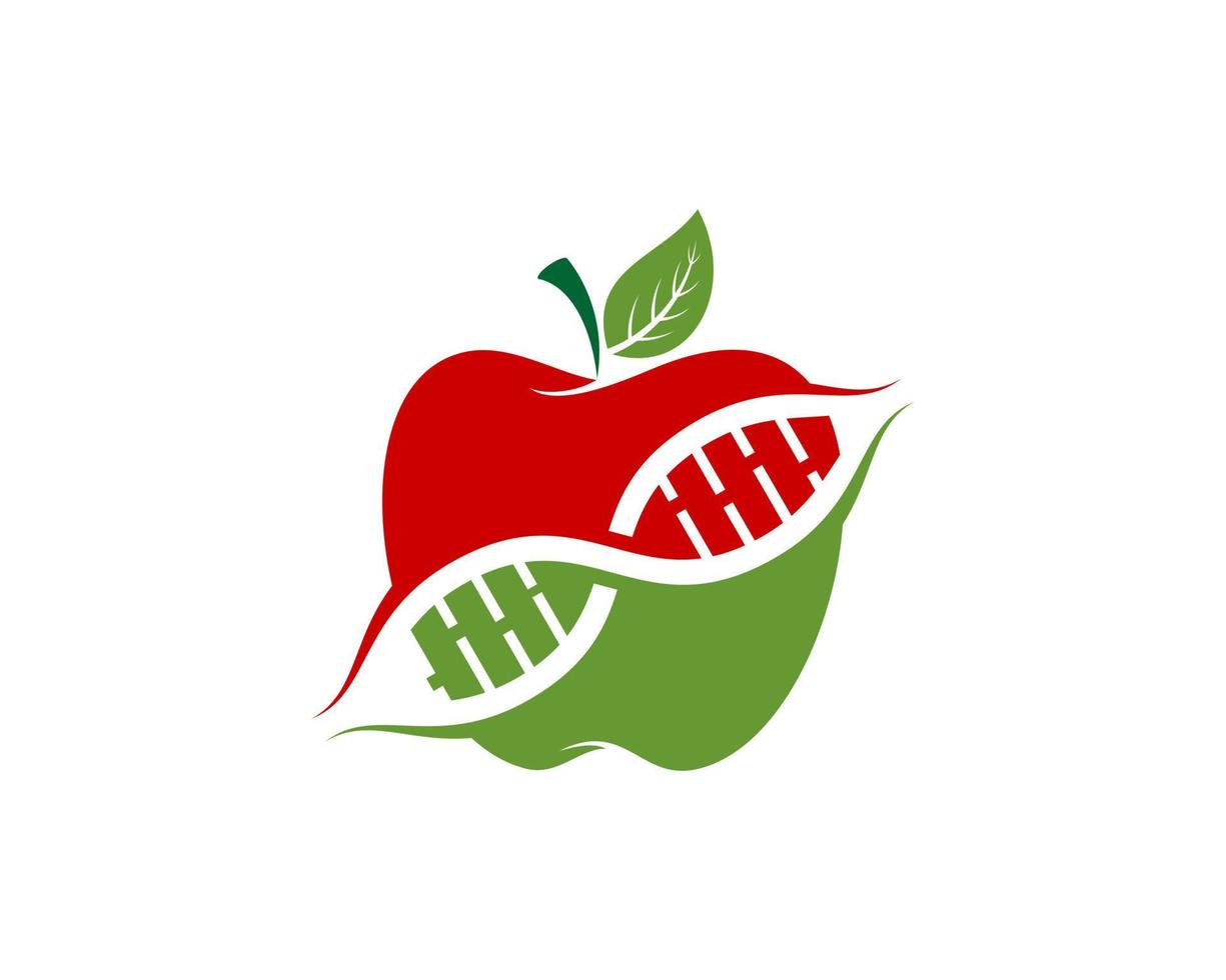 äppelfrukt med dna-symbol inuti vektor