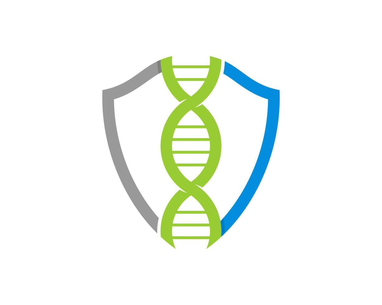 DNA-Helix im Schildschutz vektor