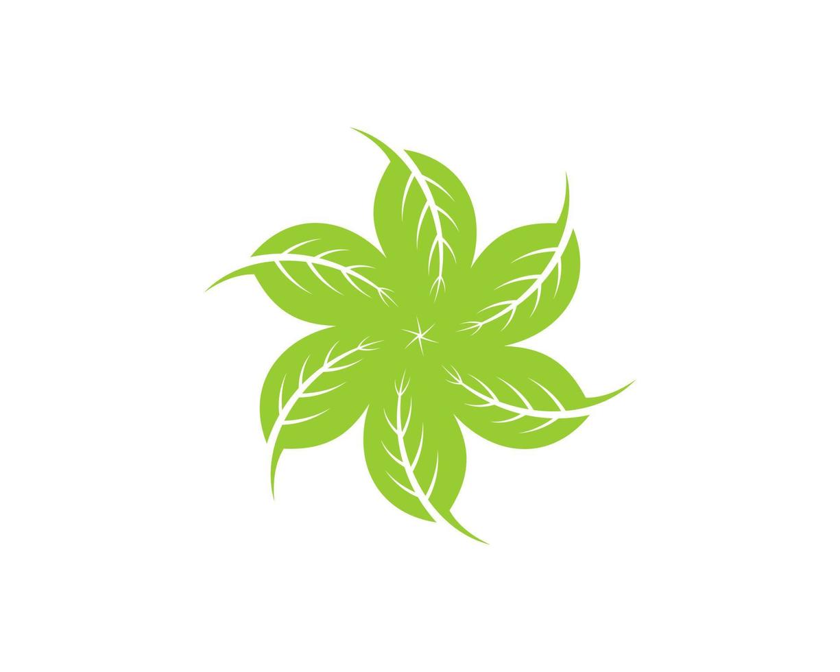 cirkulära naturblad i gröna färger vektor