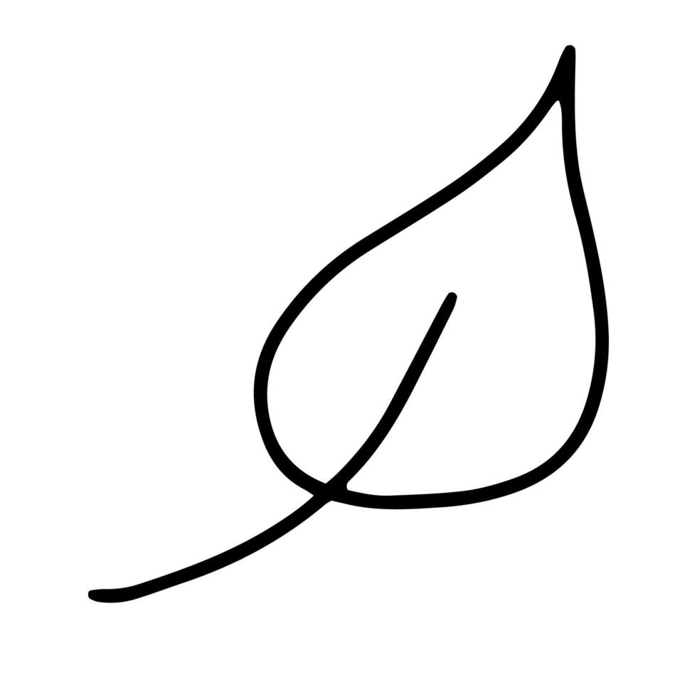 ein einzelnes Blatt von einem Baum im Doodle-Stil gezeichnet. Umrisszeichnung von Hand. Schwarz-Weiß-Bild. Monochrom. Die Jahreszeiten sind Herbst, Frühling und Sommer. Vektorillustration vektor