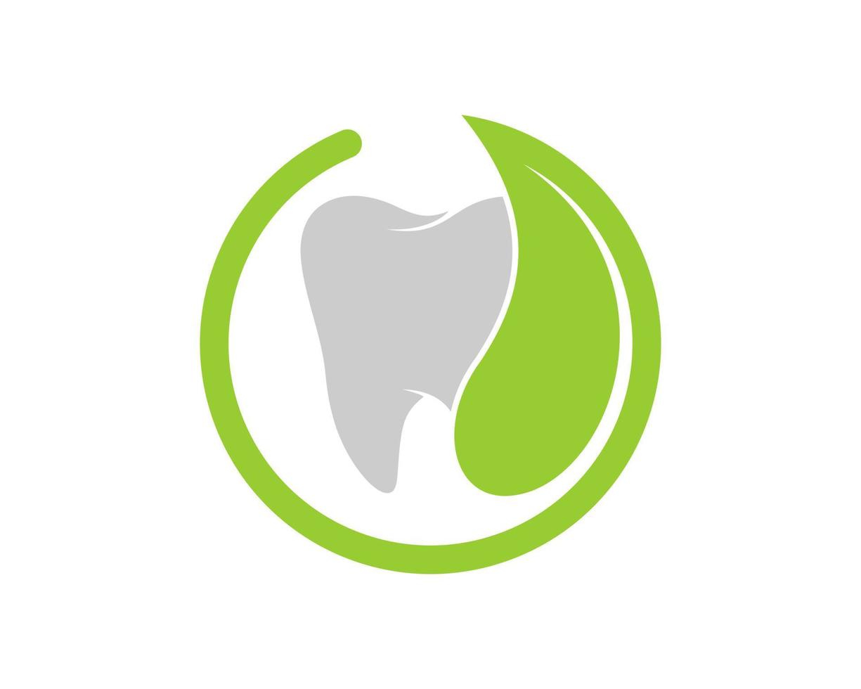kreisförmiges Naturblatt mit gesundem Zahn vektor